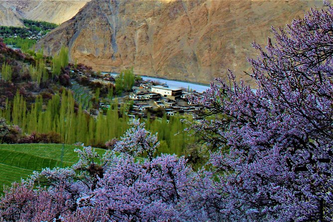 Epic Jeep Safari & Cultural Adventure: Explore Gilgit Baltistan - Health and Safety Considerations