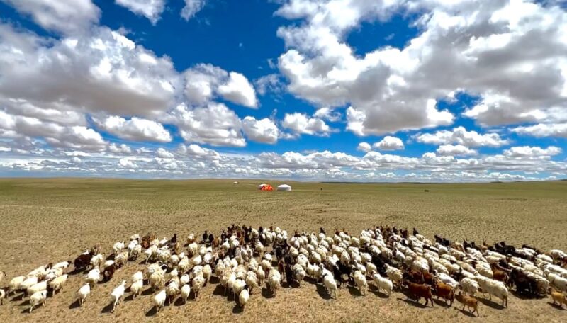 Epic Mongolian Gobi Nature Tour: 4 Nights 5 Days - Experience Highlights