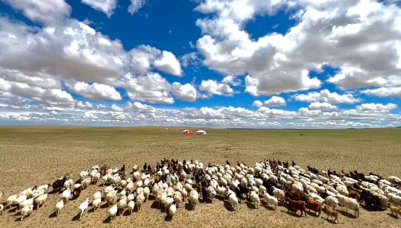 Epic Mongolian Gobi Nature Tour: 4 Nights 5 Days - Accommodation and Meals