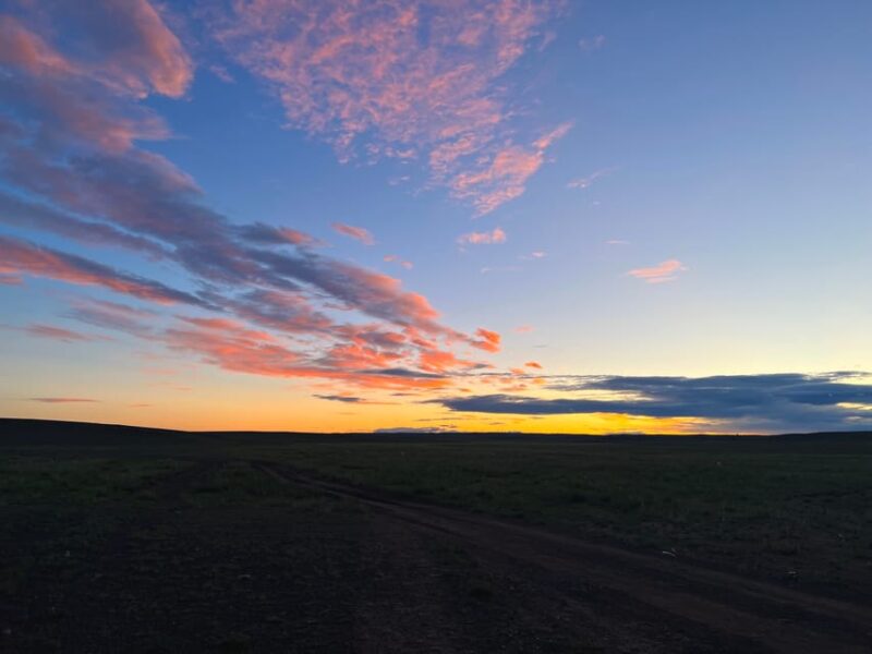Epic Mongolian Gobi Nature Tour: 4 Nights 5 Days - Transportation and Logistics