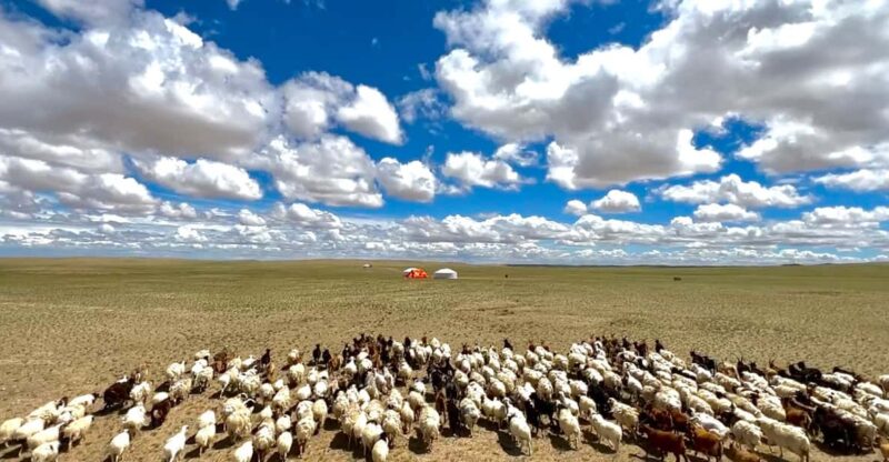 Epic Mongolian Gobi Nature Tour: 4 Nights 5 Days - Important Information