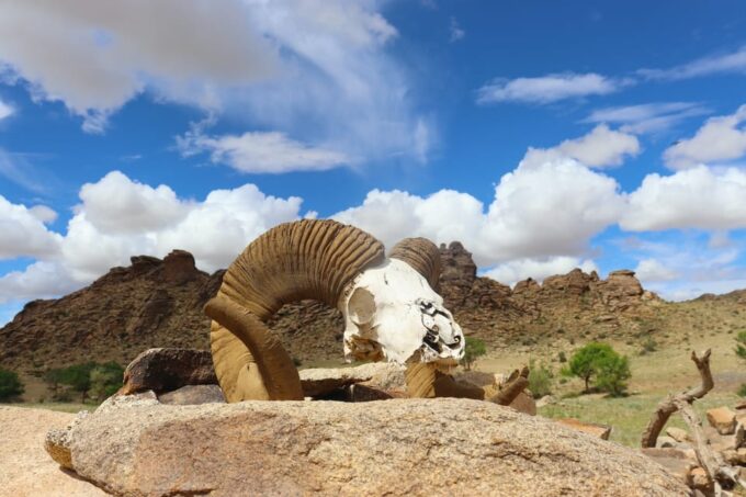 Epic Mongolian Gobi Nature Tour: 4 Nights 5 Days - Cancellation Policy