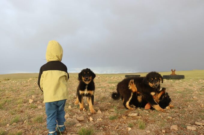 Epic Mongolian Gobi Nature Tour: 4 Nights 5 Days - Payment Options