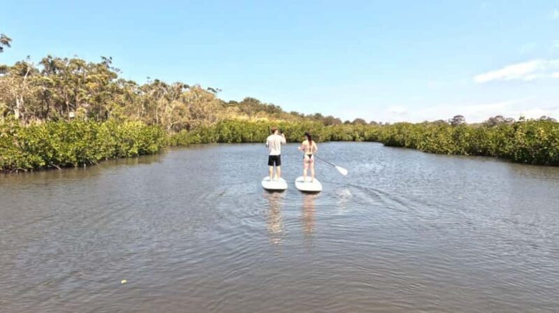 Epic Stand Up Paddle -Stingray & Mangrove Tour (Full Guided) - FAQ