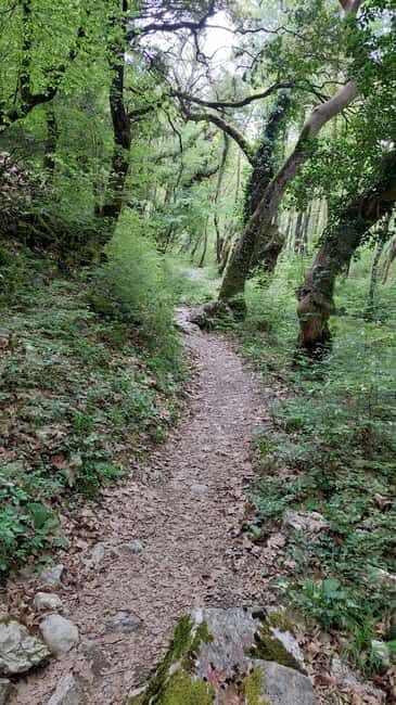 Epirus: Zagori Rafting Tour with viewpoints,lunch and photos - A Detailed Look at the Epirus: Zagori Rafting Tour with Viewpoints, Lunch, and Photos