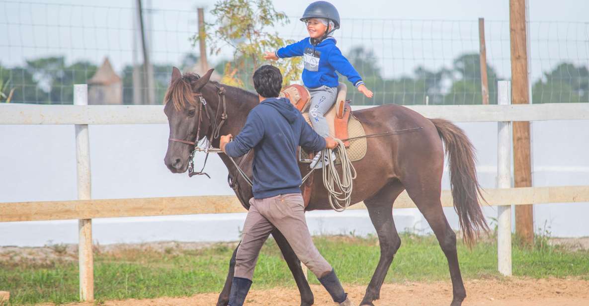 Equestrian Baptism - Language Options