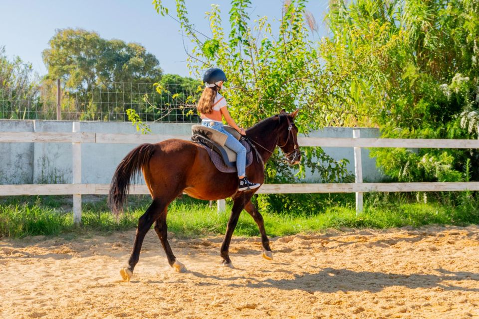 Equestrian Baptism - Suitability and Highlights