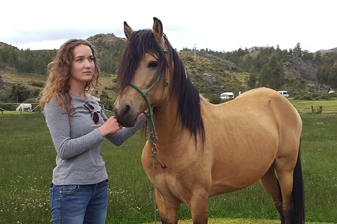 Equestrian Experience - Peruvian Paso Horse - About Your Stay
