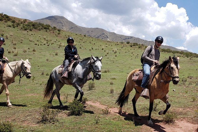 Equestrian Experience - Peruvian Paso Horse - Pickup Information