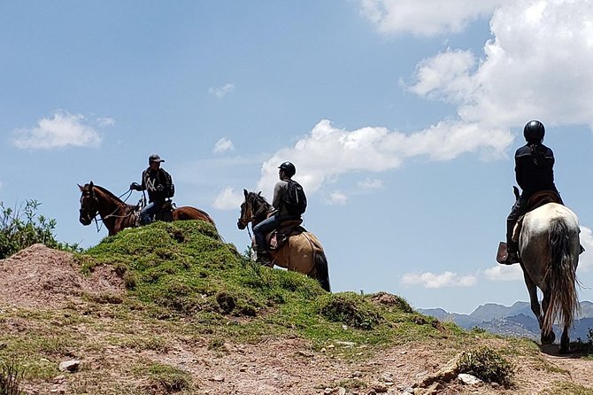 Equestrian Experience - Peruvian Paso Horse - Cultural Significance