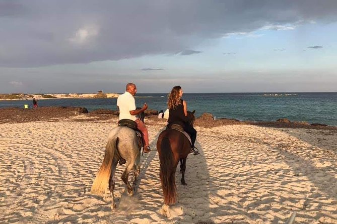 Equestrian Rides - Location and Meeting Point