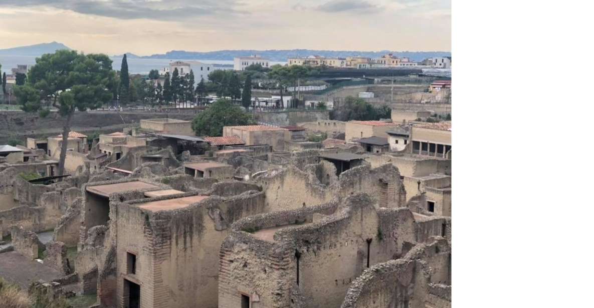 Ercolano: Archaeological Park of Herculaneum Walking Tour - Highlights of the Tour