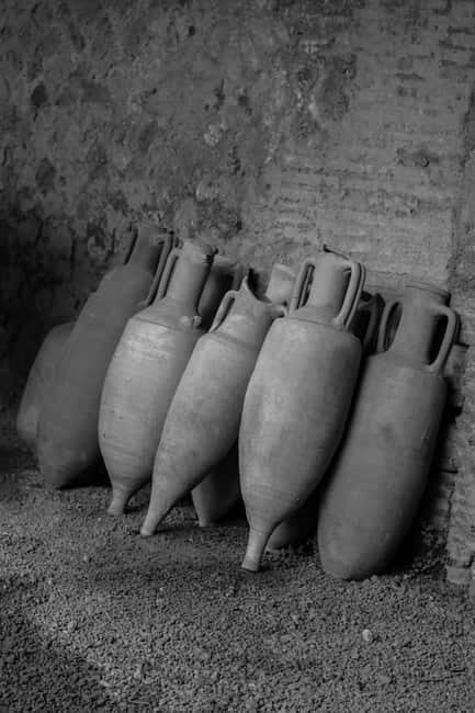 ERCOLANO: ENTRANCE TICKET - SKIP THE LINE WITH OPTIONAL TRANSFER - Introduction