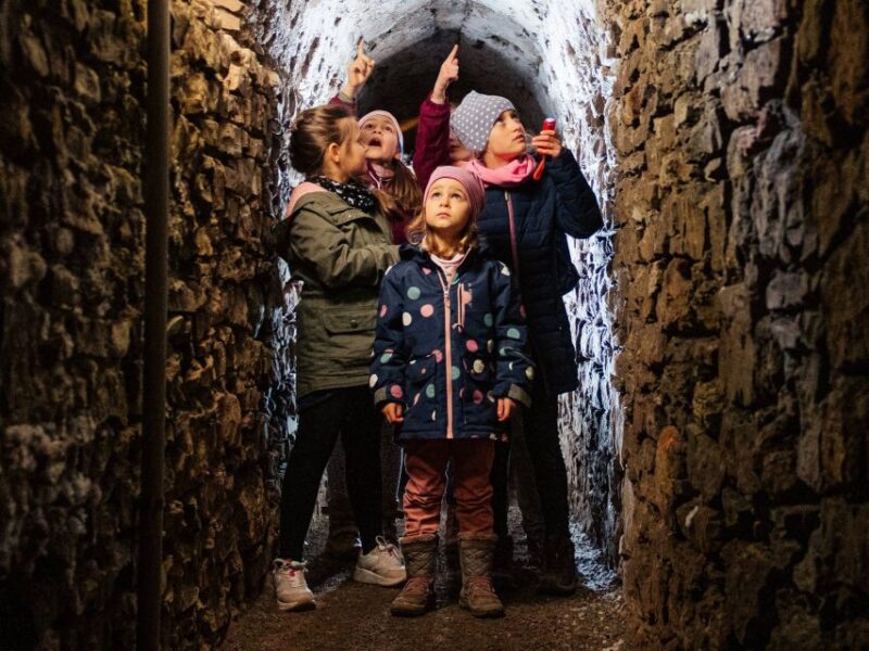 Erfurt: Guided Tour Through the Petersberg Citadel - Booking Your Tour
