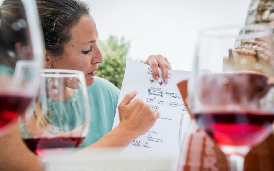 Ericeira: Private Portuguese Wine Tasting - 4 Wines & Snacks - Tasting Guidance and Information