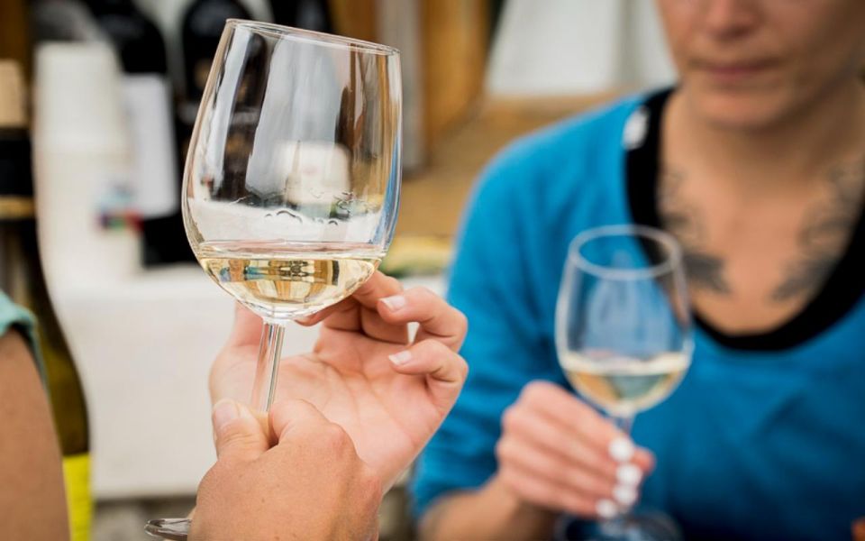 Ericeira: Private Portuguese Wine Tasting - 4 Wines & Snacks - Cancellation Policy