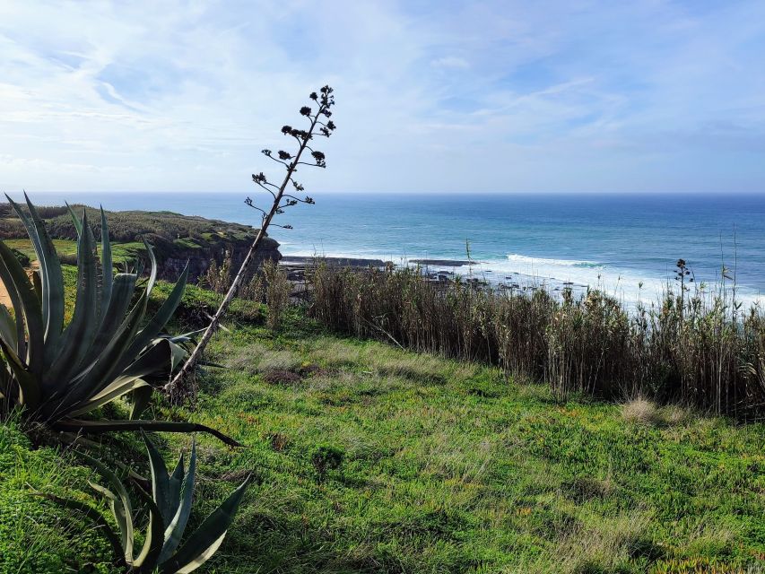 Ericeira Private Tour: 10 Tastings Food Tour - Frequently Asked Questions