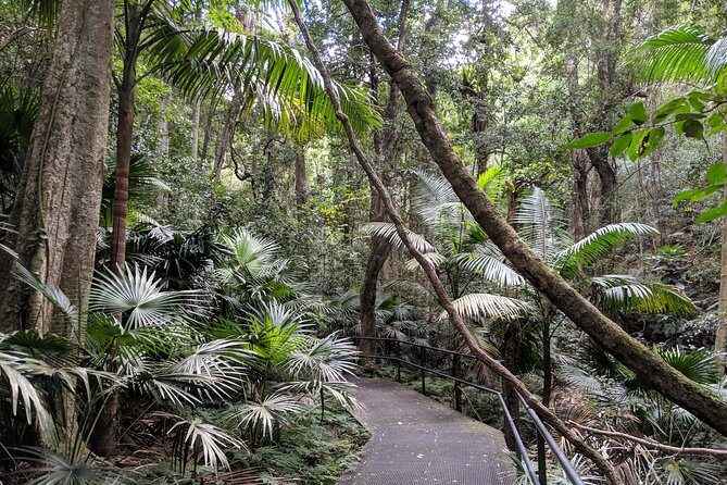Erupting Blowholes and Ancient Rainforests SOUTH COAST OF SYDNEY PRIVATE TOUR - FAQs
