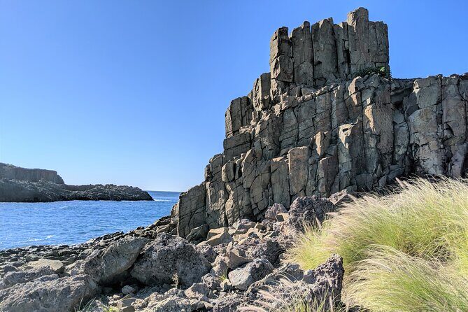 Erupting Blowholes and Ancient Rainforests SOUTH COAST OF SYDNEY PRIVATE TOUR - Final Thoughts