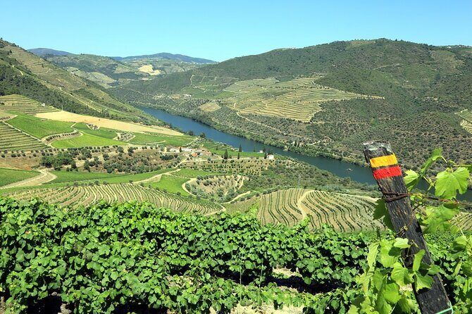 Ervedosa do Douro Walking Tour - Key Points