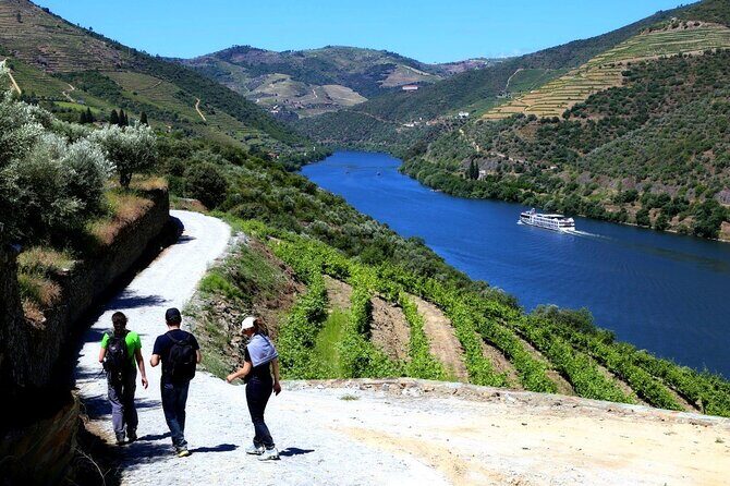Ervedosa do Douro Walking Tour - Exploring the Douro on Foot