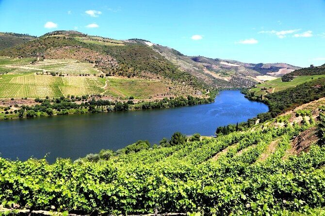 Ervedosa do Douro Walking Tour - Practical Considerations
