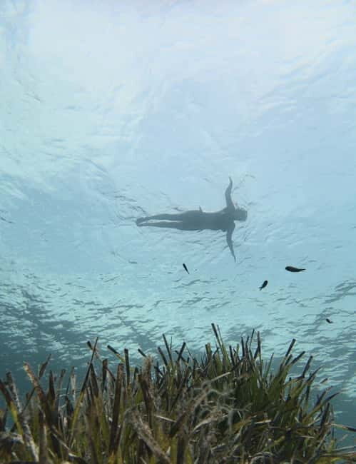 Es Grau:Private Snorkeling Experience with Picnic and Drinks - Pricing and Value