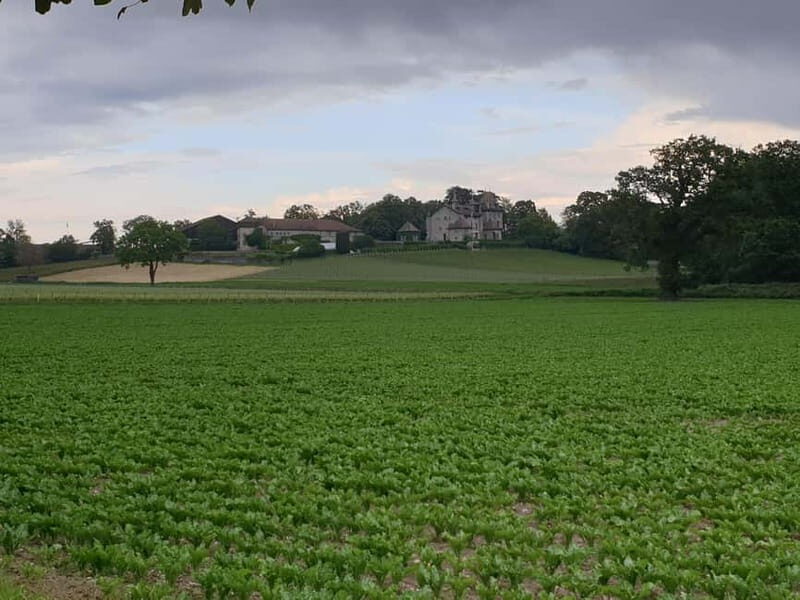 Escape from Geneva Wine Tasting Aperitif, Castle By E-bike - Who Will Love This Tour?