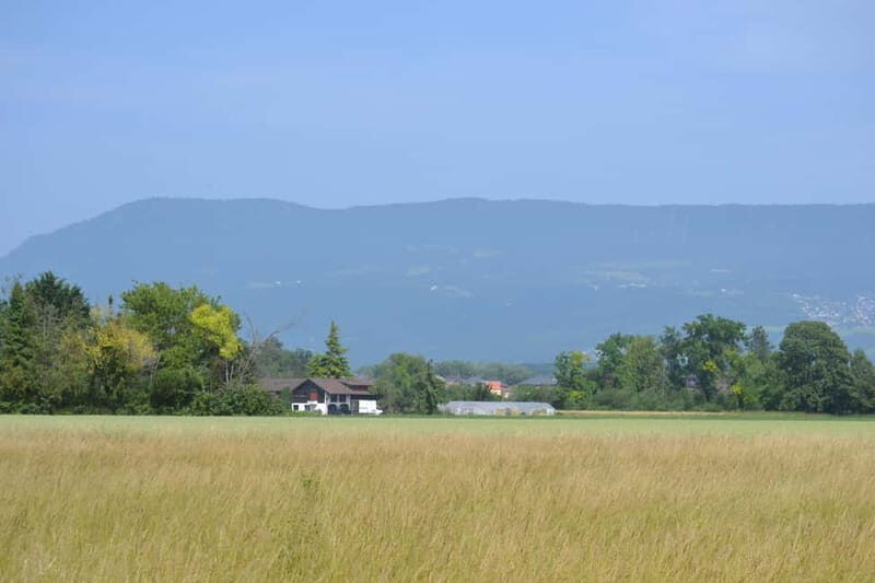 Escape from Geneva Wine Tasting Aperitif, Castle By E-bike - The Sum Up: Is It Worth It?