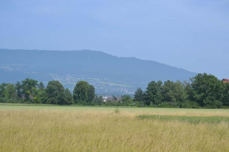 Escape from Geneva Wine Tasting Aperitif, Castle By E-bike - FAQ