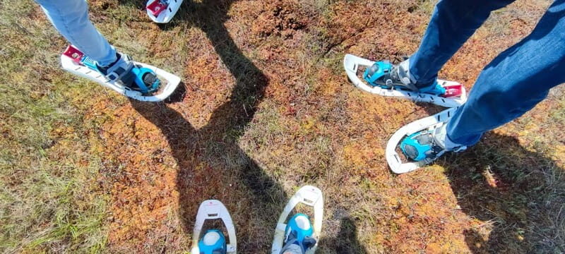 Escape from Tallinn  Hike, Swim, Forage & Cuddle Sled Dogs - Key Points