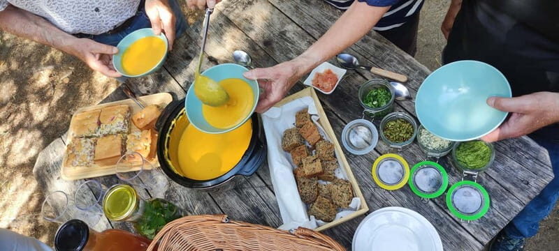 Escape from Tallinn  Hike, Swim, Forage & Cuddle Sled Dogs - What Past Participants Say