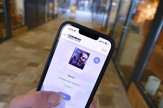 Escape Game Outdoor The Walking Dead in Rouen - Key Points