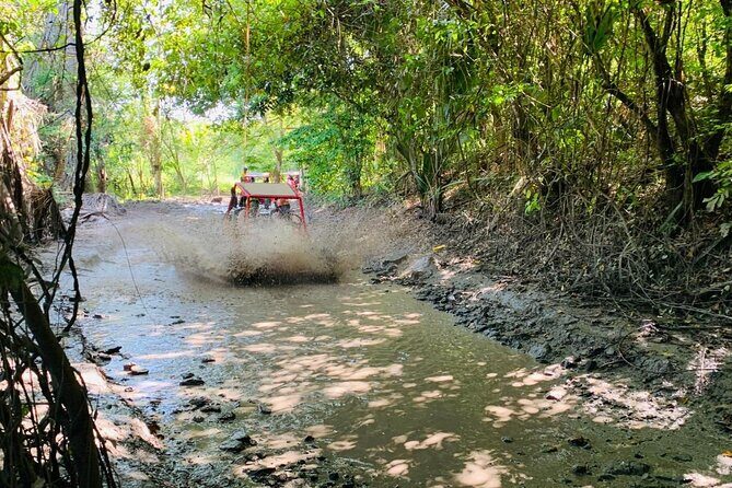 Escape to Buggies Adventure and Puerto Plata City Tour with Lunch - Practical Details & What to Expect