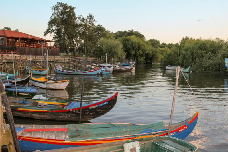 Escaroupim: 1 hour boat trip, guided tour - Key Points