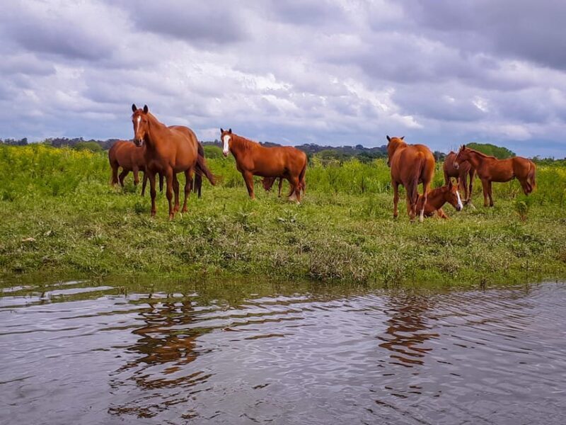 Escaroupim: 1 hour boat trip, guided tour - Authentic Experiences and Authenticity
