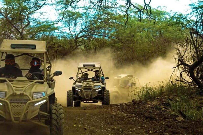 Escursione in Quad Buggy di Notte - Who Should Sign Up?