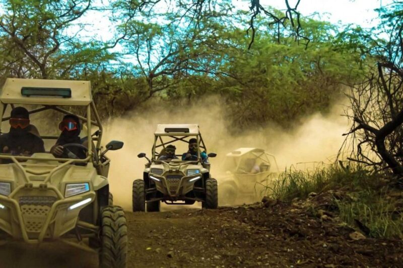 Escursione in Quad Buggy di Notte - FAQ