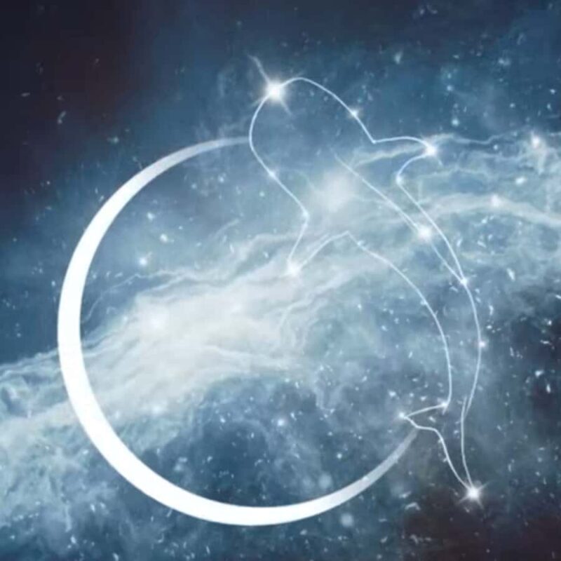 Esperance: Astronomy Night Experience - Key Points