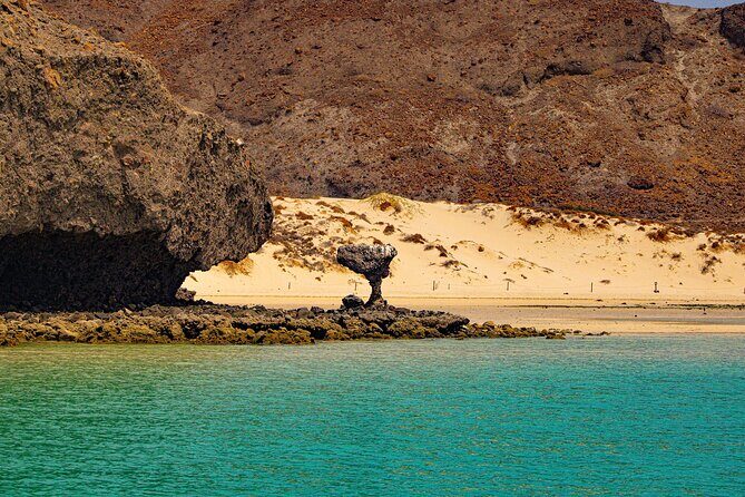 Espíritu Santo and Balandra Beach Combo Tour: Sea Lion Snorkeling - FAQ