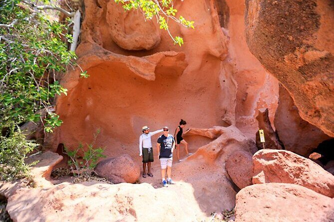 Espiritu Santo Island Full-Day Cruise with Snorkeling and Lunch! Round Trip - Who Will Love This Tour?