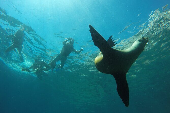 Espiritu Santo Island Private Tour: Sea Lions and paddle boarding - The Itinerary: What You Can Expect from This Excursion