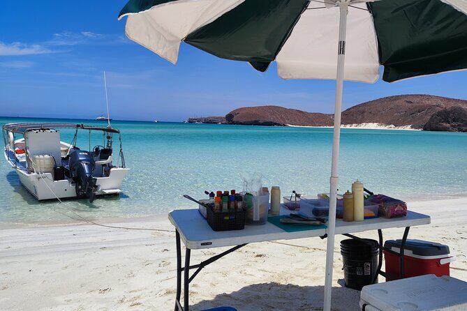 Espiritu Santo Island: Snorkel, Wildlife and Beach - Who Should Consider This Tour?