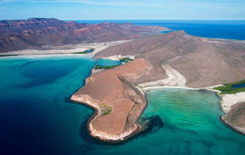 Espiritu Santo Island: Snorkeling Sea Lion Adventure - A Full Breakdown of the Tour Experience