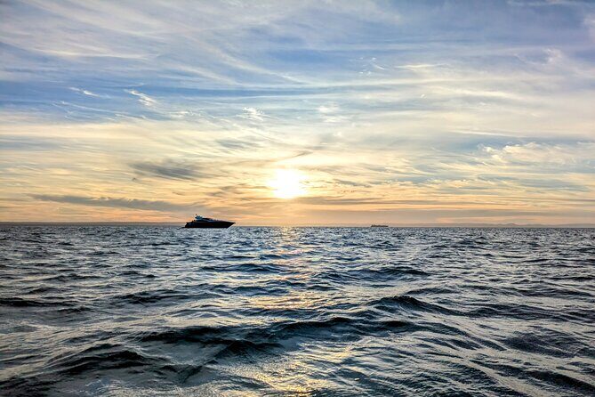 Espíritu Santo Private Scuba Tour - Who Will Love This Tour