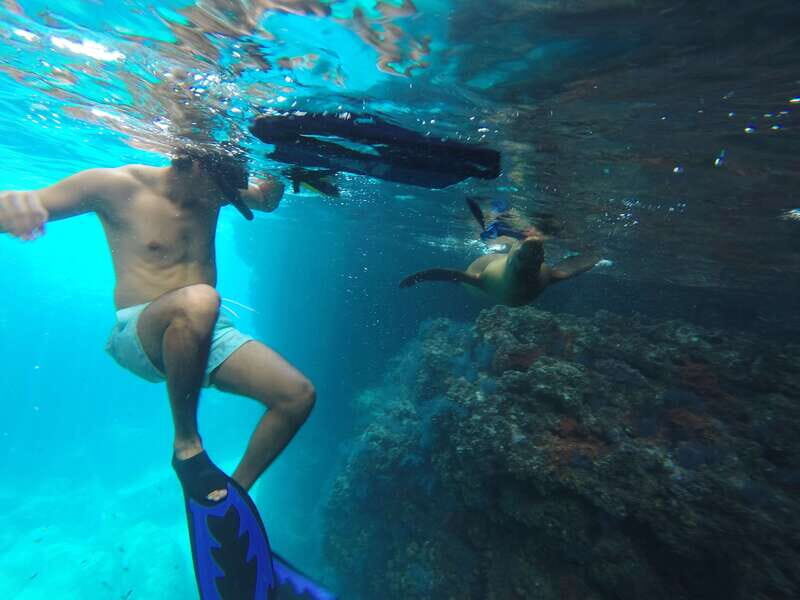 Espiritu Santo Snorkeling and Sea Lion Adventure - Key Points