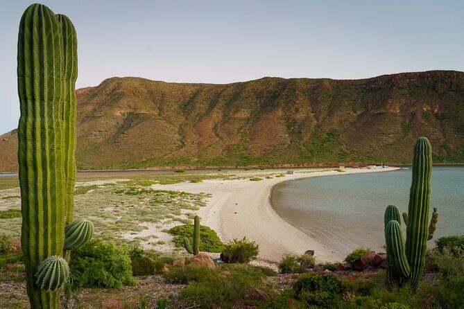 Espiritu Santo Wildlife Expedition and Snorkeling Tour (Private) - Who Is This Tour Best For?