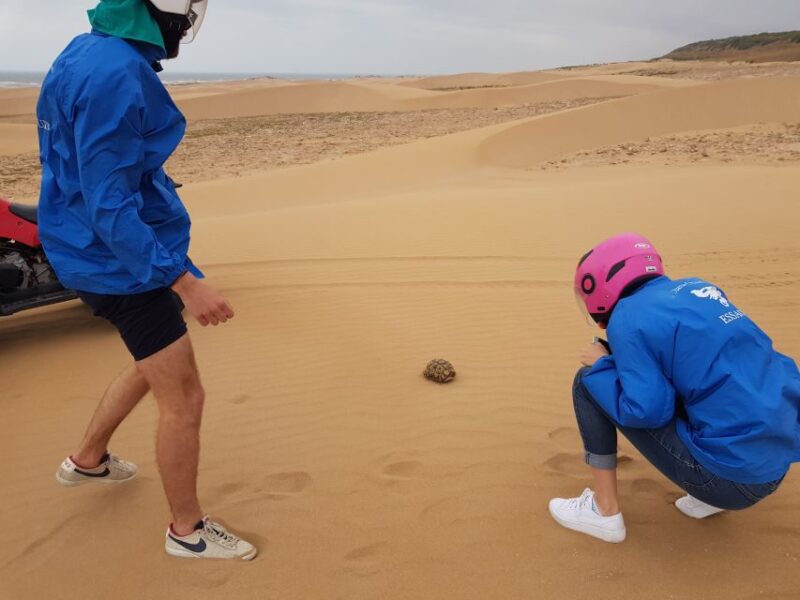 Essaouira : 1 Hour Quad Bike Tour and 1 Hour Dromedary Ride - Dromedary Experience