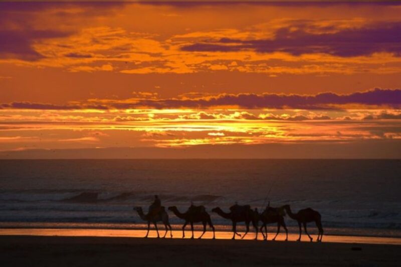 Essaouira : 1 Hour Quad Bike Tour and 1 Hour Dromedary Ride - Booking Information