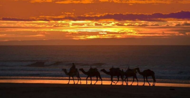 Essaouira : 1 Hour Quad Bike Tour and 1 Hour Dromedary Ride - Safety Precautions
